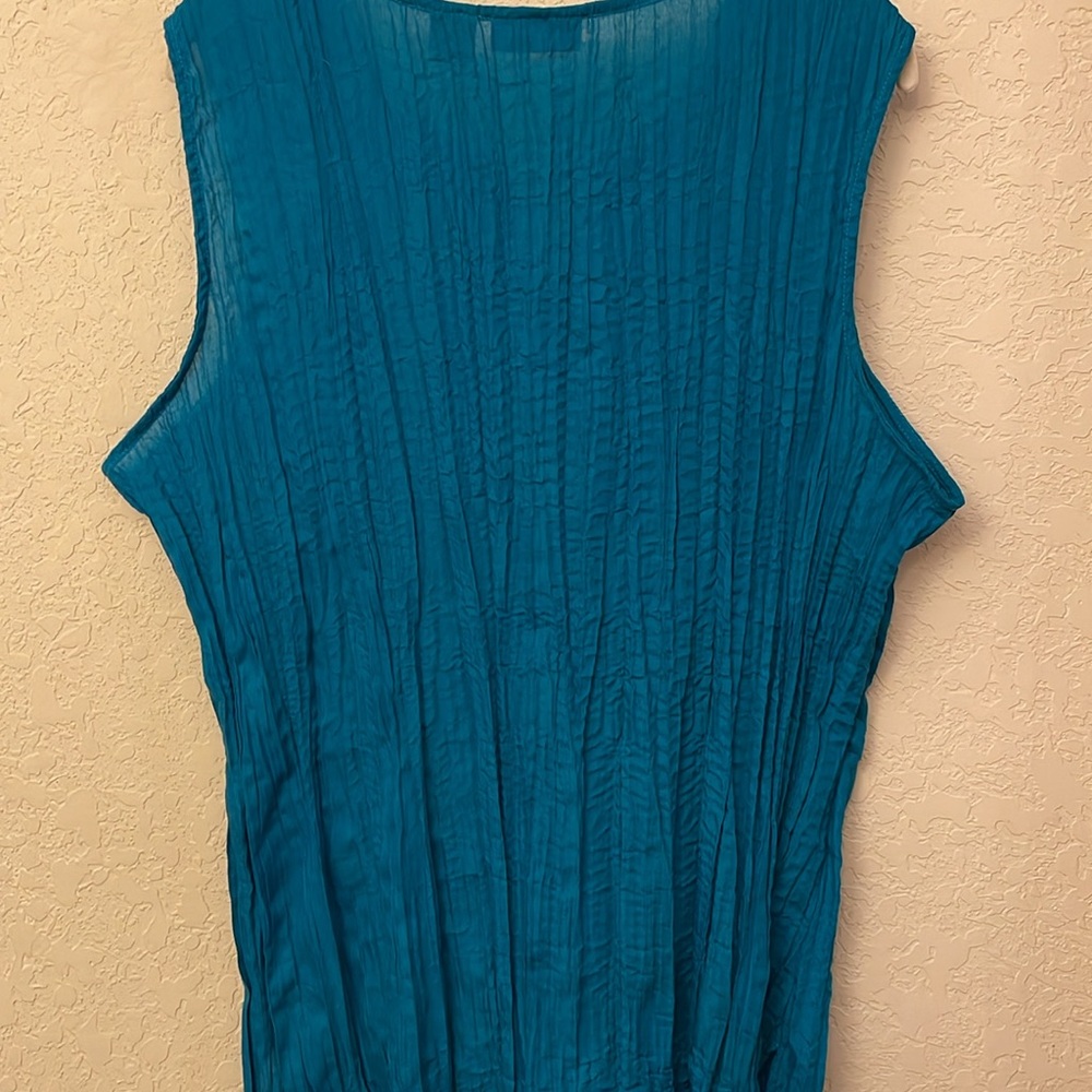 Scully Blue Embellished Sleeveless Blouse - Picture 7 of 7